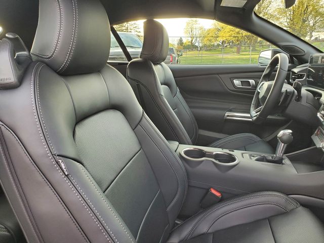 New 2025 Black Ford GT Premium image 18