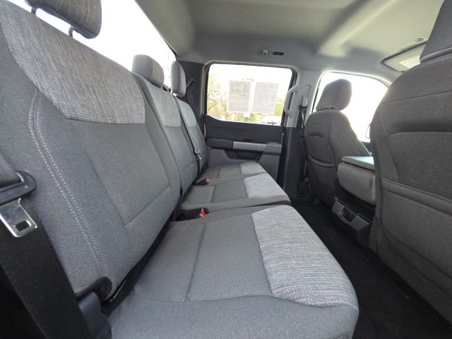 2023 Ford F-150 XLT:B02162