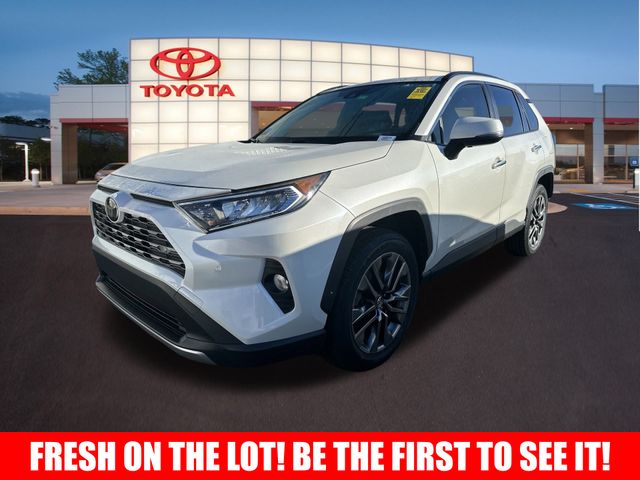 2019 Toyota RAV4 Limited 3