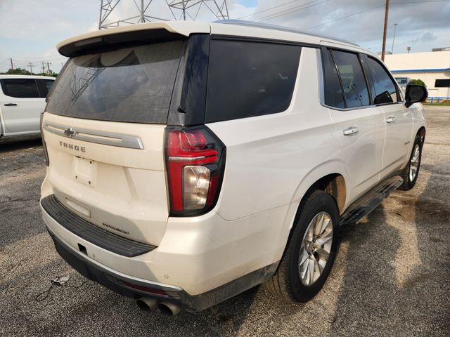 2021 Chevrolet Tahoe Premier Beige at Ultimate Motorsports