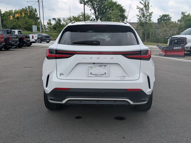 2024 Lexus NX - Image 4