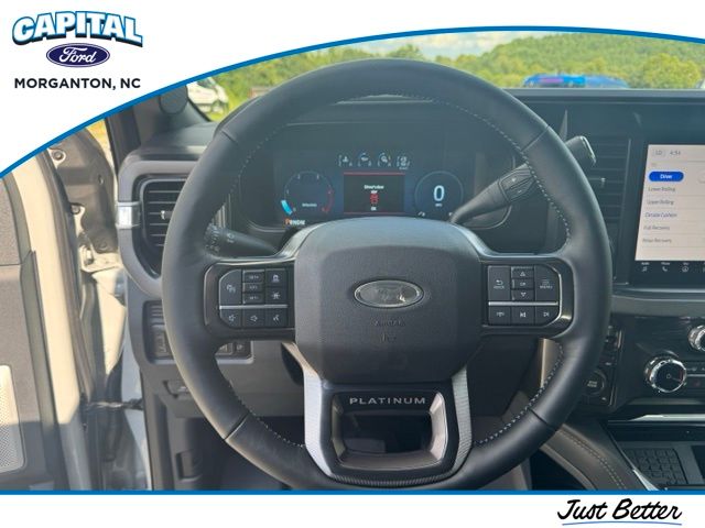 New 2026 White Ford Platinum image 17