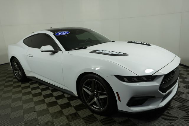 2025 Ford Mustang Base's photo