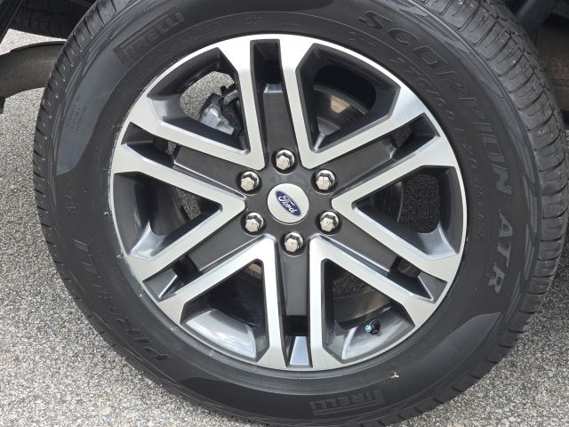 2023 Ford F-150 XL:169242A