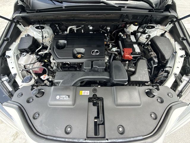 2025 Lexus NX - $39,988