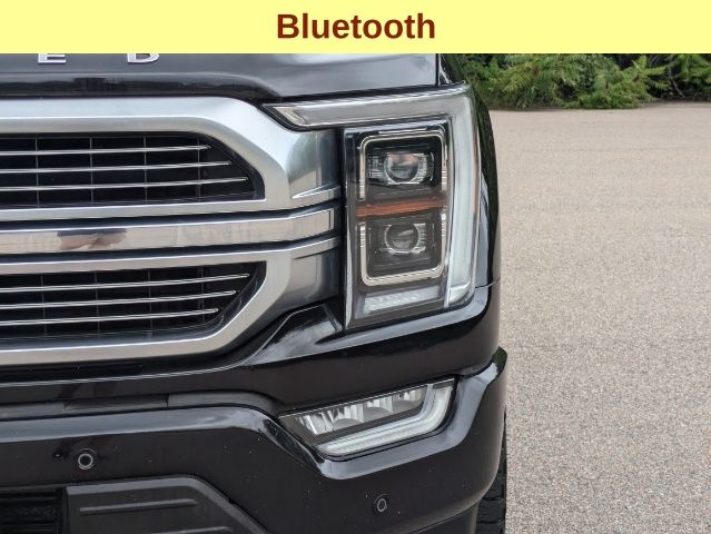 2021 Ford F-150 Limited 10