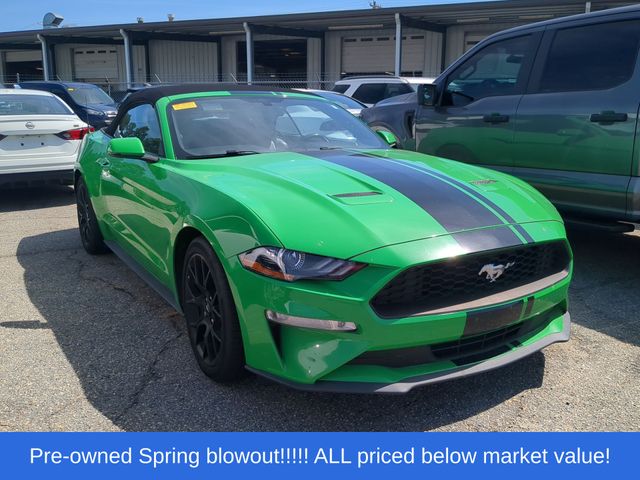 Used 2019 Green Ford EcoBoost Premium image 5