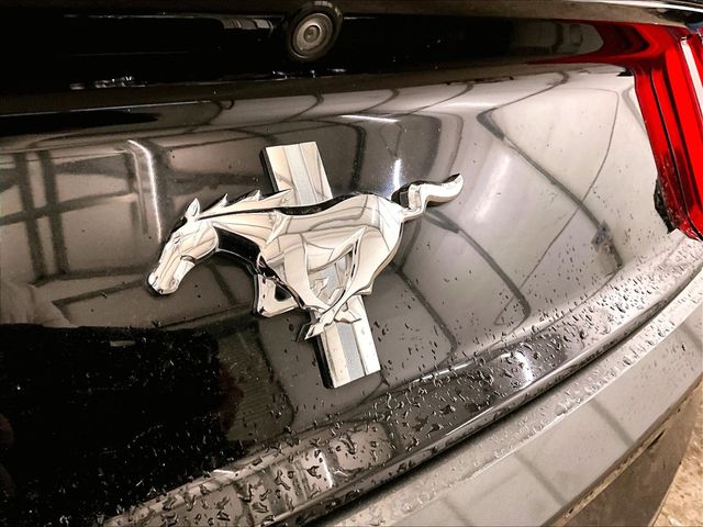 2016 Ford Mustang V6 Gray at Grove City Ford