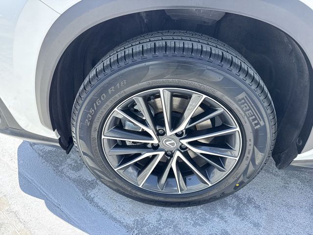 Used 2024 Lexus NX SUV