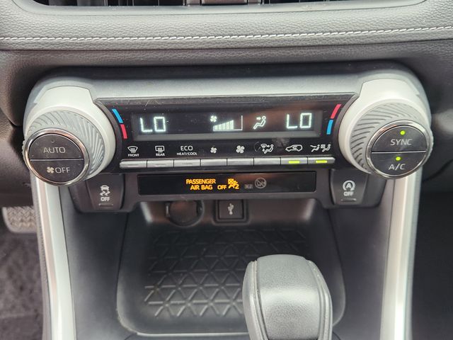 2020 Toyota RAV4 XLE Gray at Emmons Autoplex