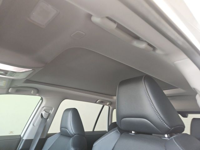 2025 Toyota RAV4 Limited Beige at Don McGill Toyota