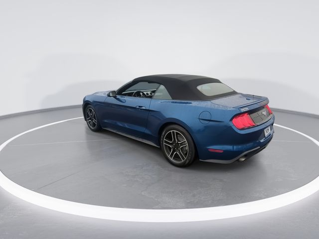 Used 2022 Blue Ford EcoBoost Premium image 6