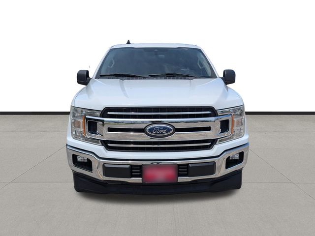 2019 Ford F-150 XLT White at Cook Ford
