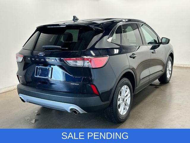 2021 Ford Escape SE Blue at Phil Fitts Ford
