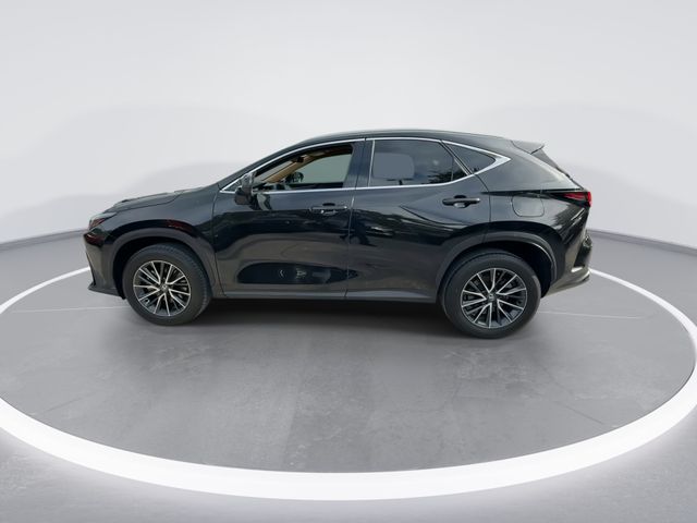Used 2024 Lexus NX SUV