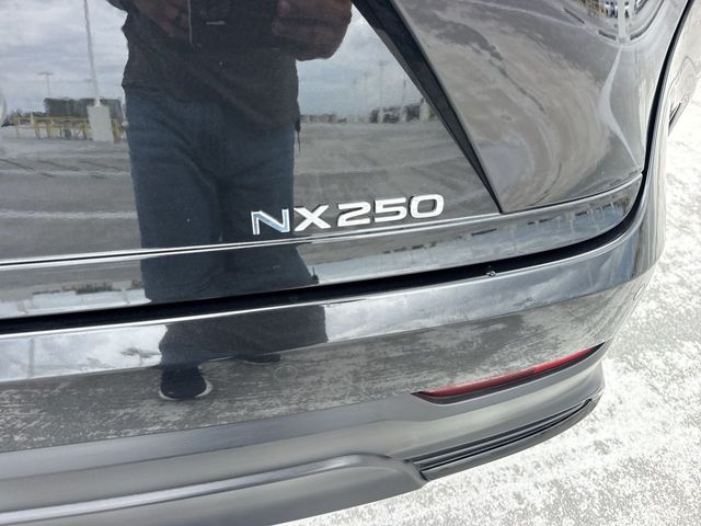 2025 Lexus NX - $41,998