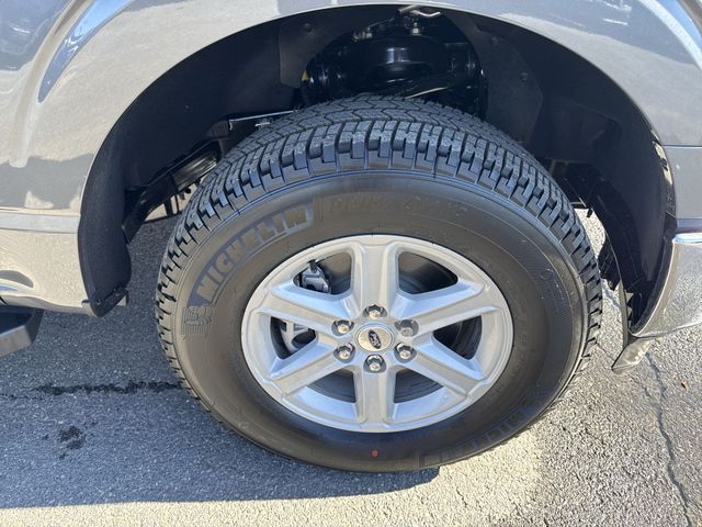 new 2025 Ford F-150 car, priced at $51,010
