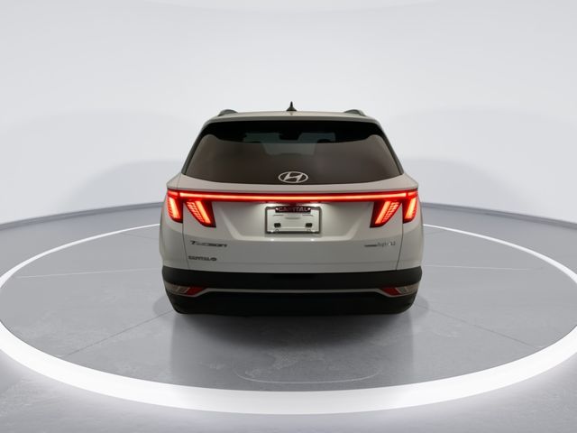 Used 2023 White Hyundai SEL Convenience image 3