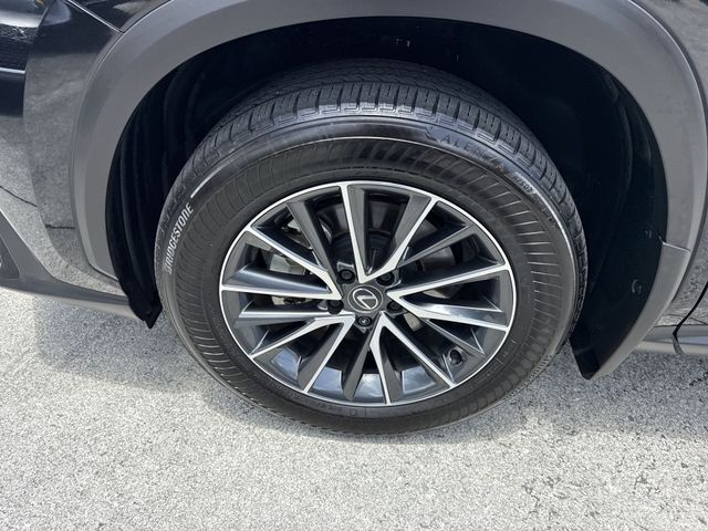 Used 2025 Lexus NX SUV