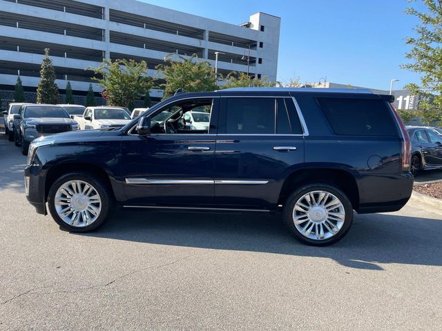 2019 Cadillac Escalade Platinum Edition 5