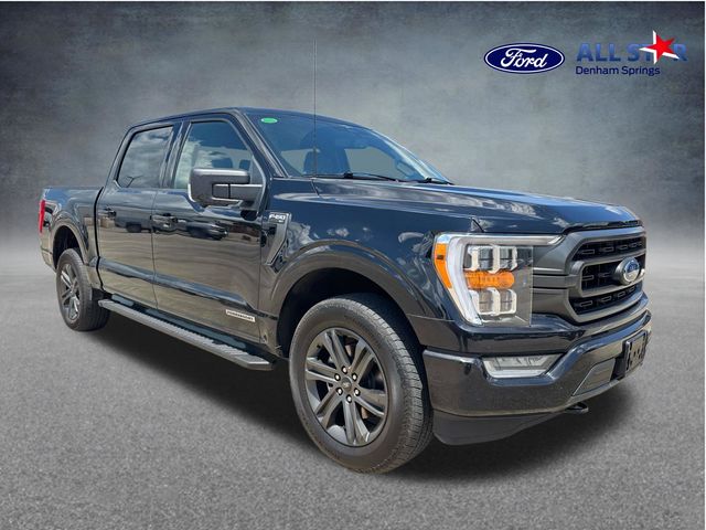Black Metallic 2023 Ford F-150 Pickup Truck Four-Wheel Drive Automatic