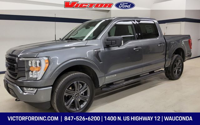 Gray Metallic 2023 Ford F-150 Pickup Truck Four-Wheel Drive Automatic
