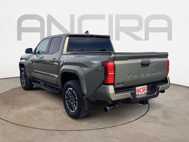 Used Car 2025 Toyota Tacoma  Trd Sport For Sale Under $50,000 In San Antonio, Texas