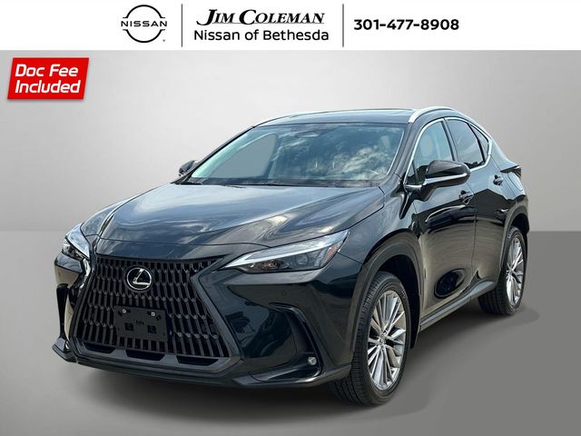 2023 Lexus NX 350h Premium