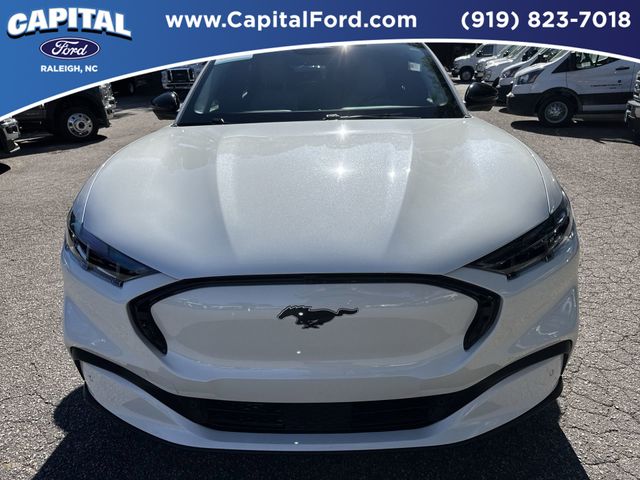 Used 2025 White Ford Premium image 10