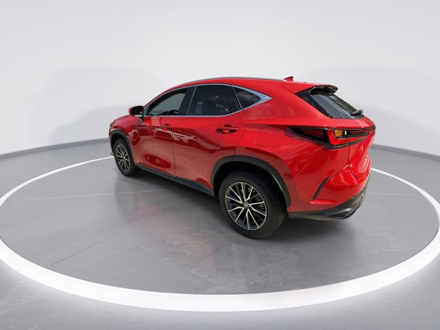 Used 2025 Lexus NX SUV