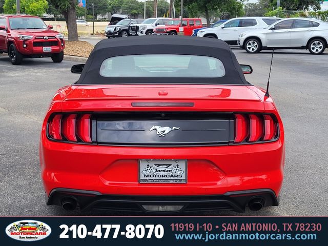Used Car 2021 Ford Mustang  Ecoboost Premium For Sale Under $25,000 In San Antonio, Texas