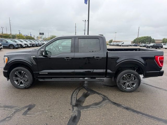 2023 Black Metallic Ford F-150 XLT 4X4 Truck