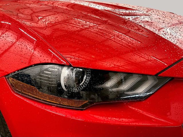 2018 Ford Mustang EcoBoost Premium Red at Bob Ruth Ford