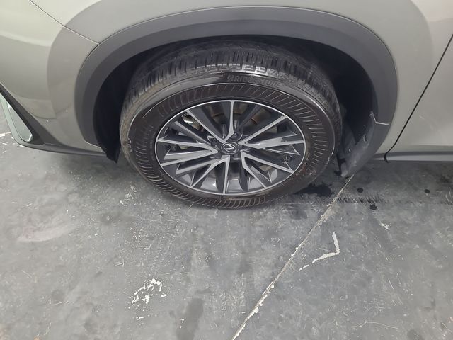 2024 – Lexus – NX