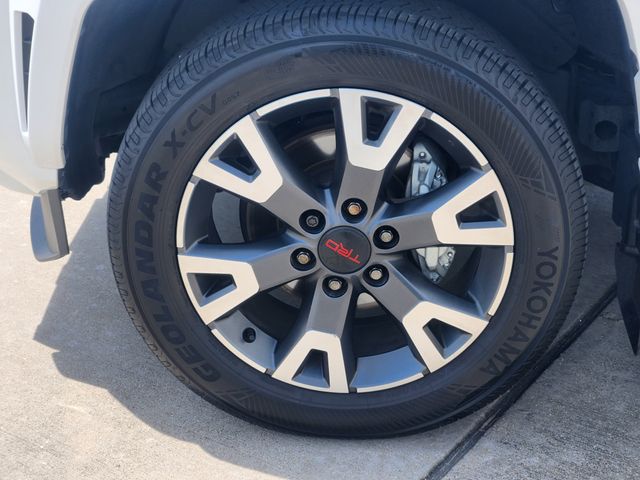 2025 Toyota 4Runner TRD Sport Premium Beige at Cook Ford
