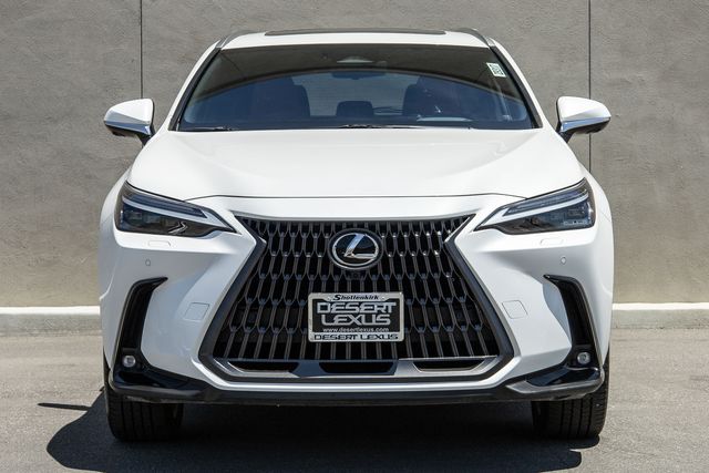 2024 Lexus NX 450h+ Luxury photo