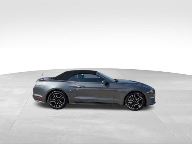 2023 Ford Mustang EcoBoost Premium 3