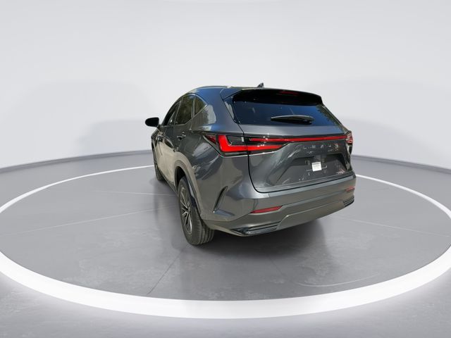 2024 Lexus NX - $38,898