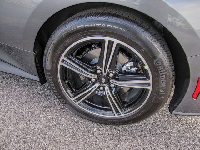 Photo of 2025 Ford Mustang EcoBoost in Dallas, GA - 6,  2025 Ford Mustang EcoBoost:167844