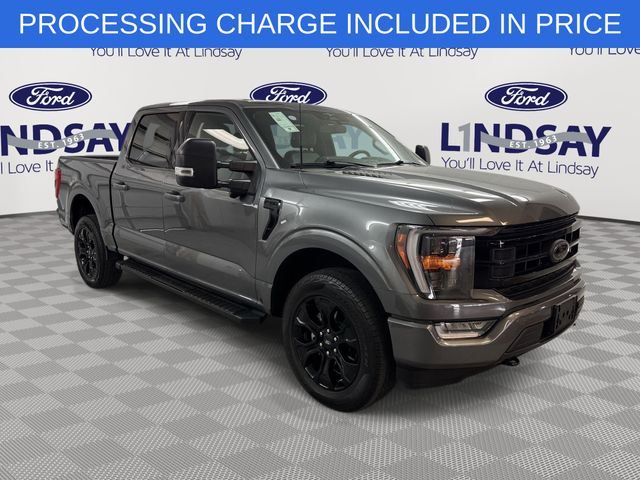 Gray Metallic 2023 Ford F-150 Pickup Truck Four-Wheel Drive Automatic