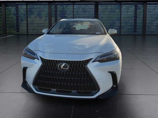 2025 Lexus NX - $47,998