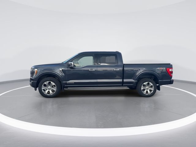 Used 2022 Blue Ford Platinum image 4