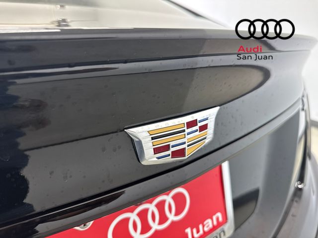 Used 2024 Black Cadillac V-Series image 13