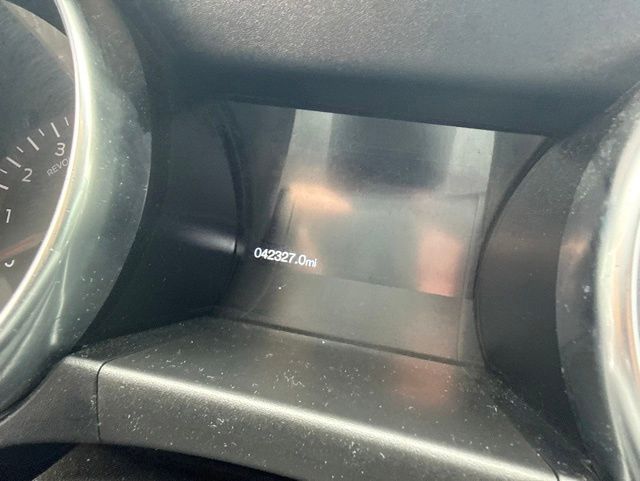 2019 Ford Mustang GT Gray at Grove City Ford