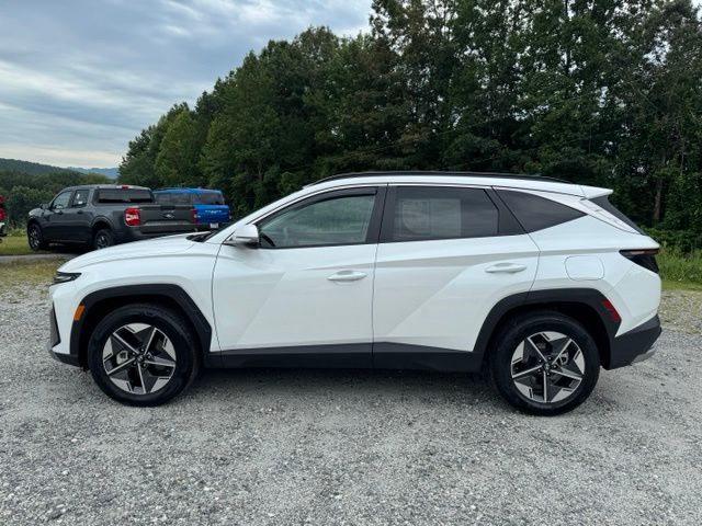 Used 2025 White Hyundai SEL Convenience image 4