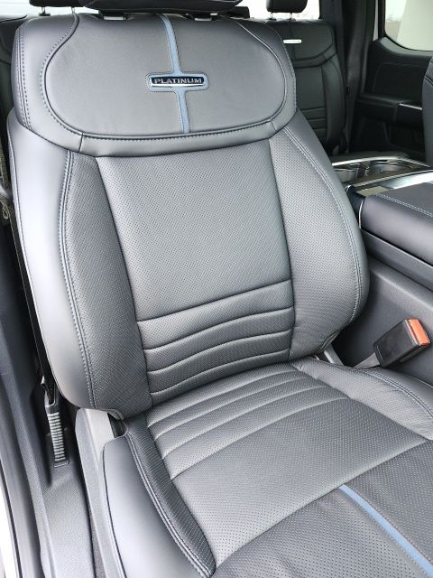 New 2025 White Ford Platinum image 66