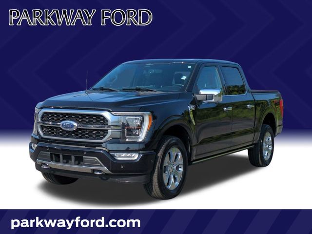 Black Metallic 2023 Ford F-150 Pickup Truck Four-Wheel Drive Automatic