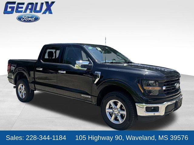 Black Metallic 2024 Ford F-150 Pickup Truck Four-Wheel Drive Automatic