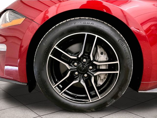2019 Ford Mustang GT Red at Grove City Ford