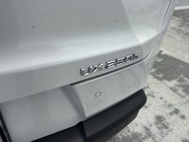 Used 2024 Lexus UX SUV